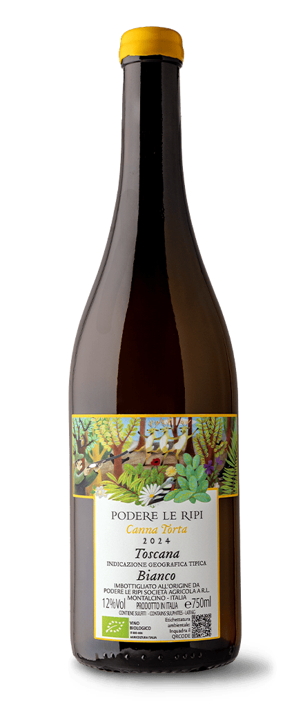 Canna Torta - 2024 Podere Le Ripi