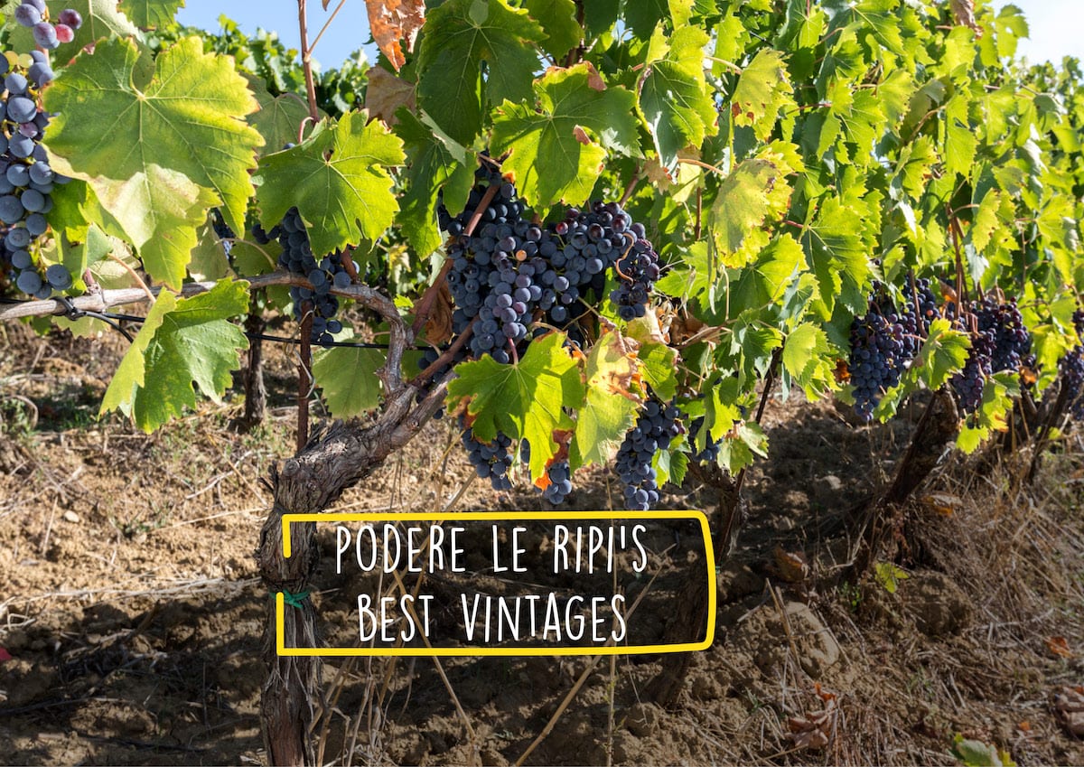 Podere Le Ripi’s best vintages