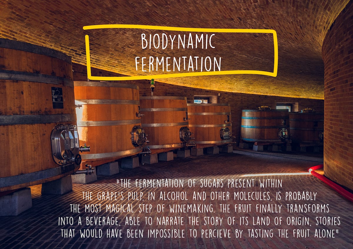 Biodynamic fermentation