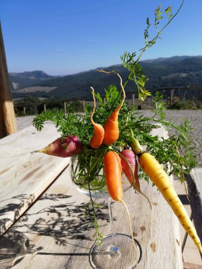 Vegetable Garden: Tuscan Garden Experience