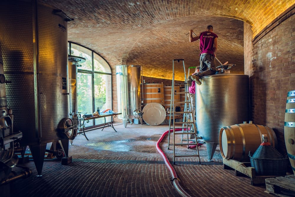 Golden cellar montalcino: the cellar start to work