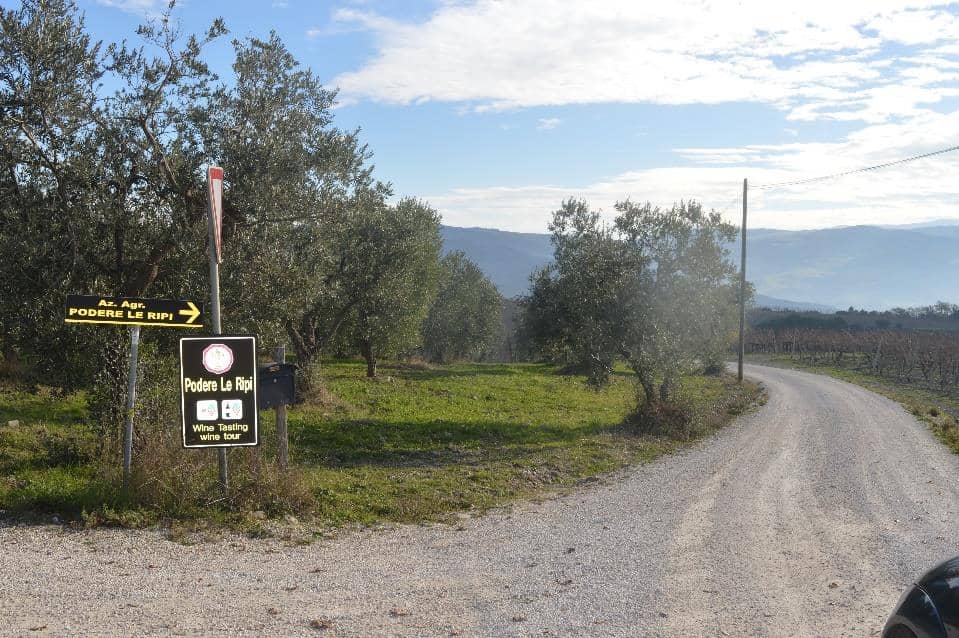 Winery in Montalcino Podere Le Ripi contacts and driving directions