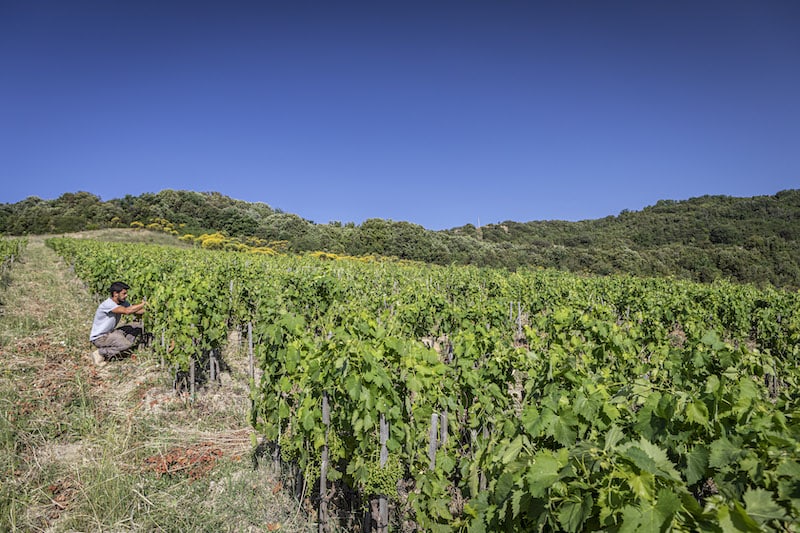 Private Cooking classes in Montalcino, Tuscany