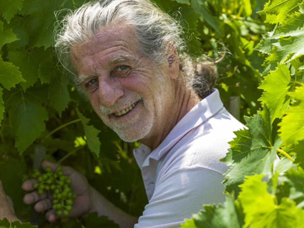 Francesco Illy, winemaker in Montalcino