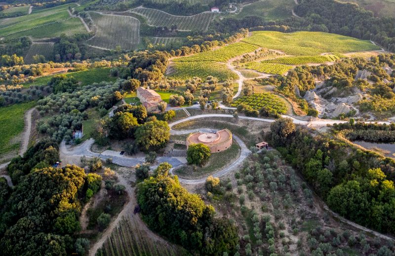 podere le ripi vineyard montalcino